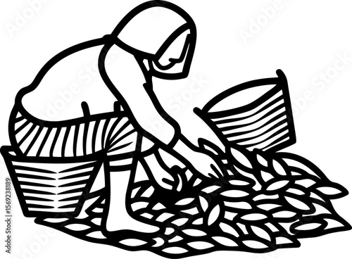 Woman harvesting crops by hand, traditional rural farming activity with baskets and agricultural produce