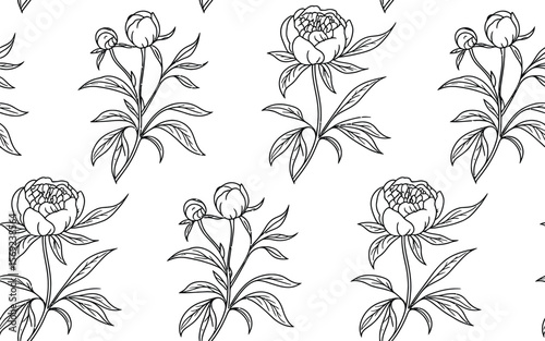 Black and White Peony Floral Pattern on White Background 1