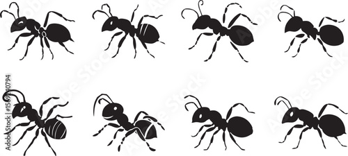 Ant Silhouette Icon Set – Black Vector Insect Illustrations for Nature, Pest Control, and Science Designs