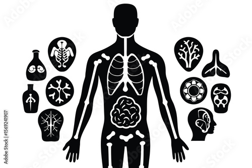 Human anatomy and biological systems illustrated with black and white icons