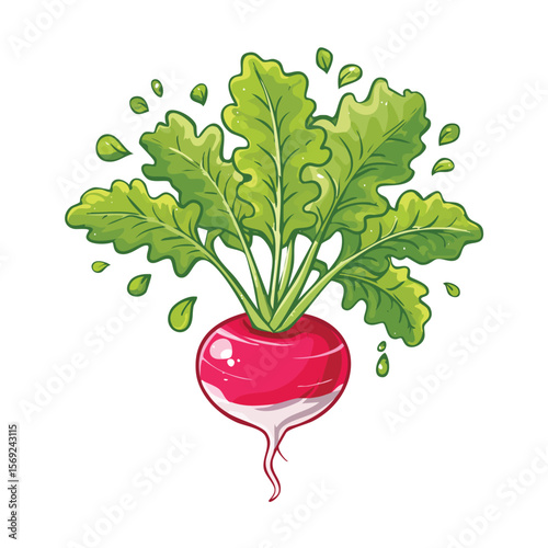 Radish splash Colorful Vector in Adorable Comic Style with Expressive Lines.