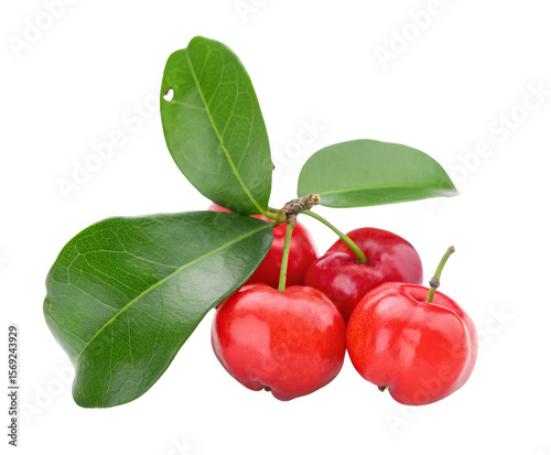 Wallpaper Mural Acerola cherries with green leaves isolated on white background fresh juicy fruit image healthy Torontodigital.ca