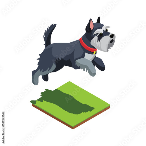 Miniature Schnauzer jump isometric vector illustration with clean geometry and modern design
