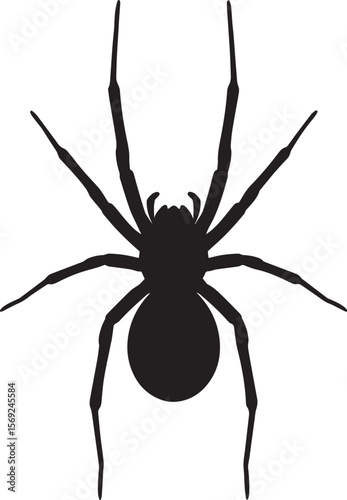 Silhouette of a Spider Silhouette with Eight Legs and Bulbous Abdomen