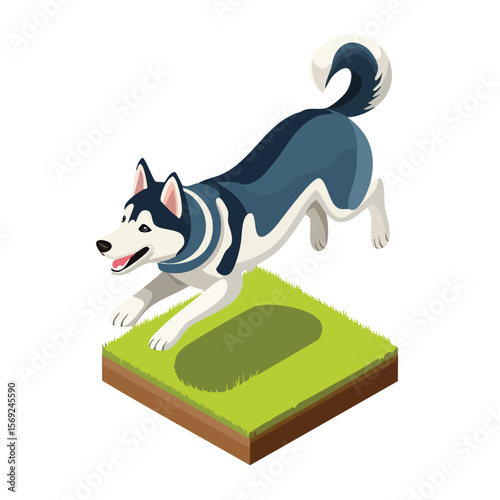 Siberian Husky jump isometric vector illustration with clean geometry and modern design