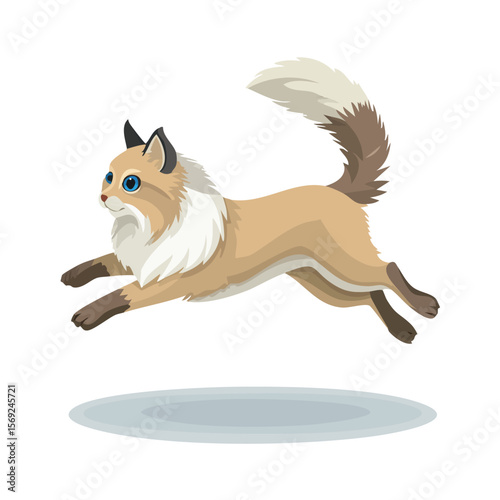 Birman jump isometric vector illustration with clean geometry and modern design