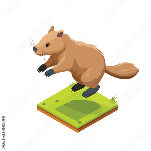 Wombat jump isometric vector illustration with clean geometry and modern design
