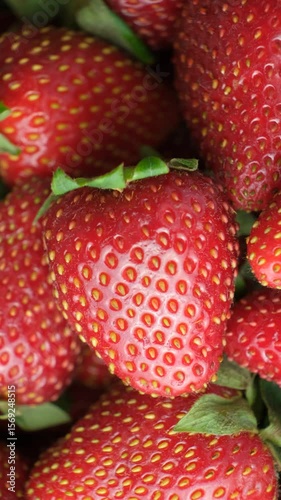 Ripe fresh strawberry macro, clear grains, vertical fruit berry background