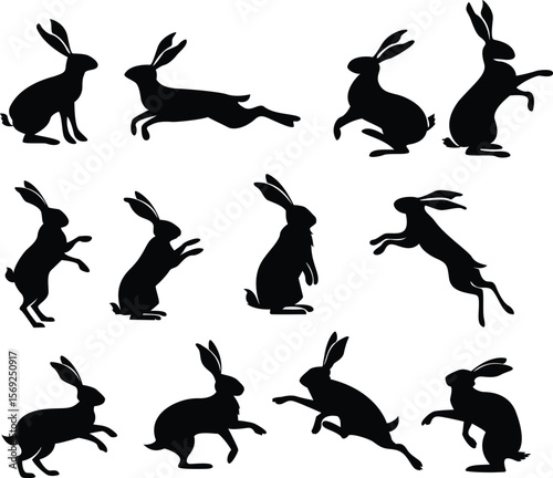 Silhouette domestic playful rabbit 