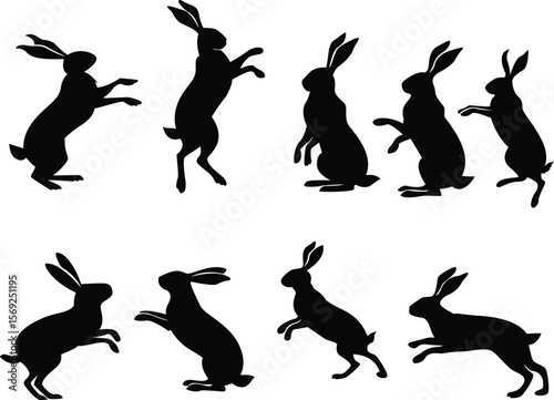 Silhouette domestic playful rabbit 