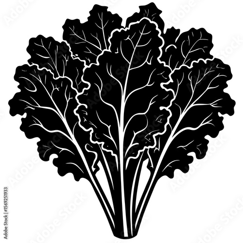 Kale   vegetable vector perfect for healthy food, farm, eco, and organic-themed digital design projects.
