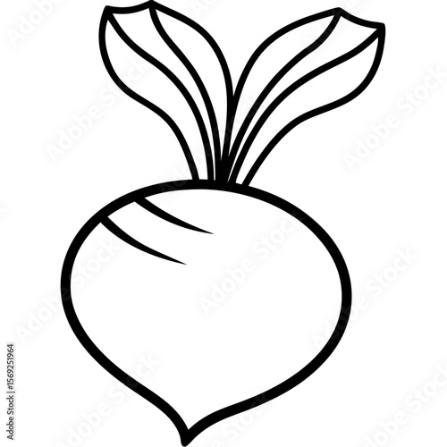 Kohlrabi  vegetable vector perfect for healthy food, farm, eco, and organic-themed digital design projects.