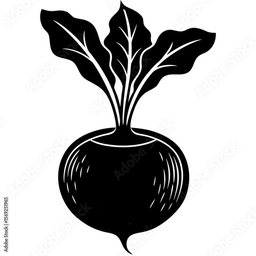 Kohlrabi  vegetable vector perfect for healthy food, farm, eco, and organic-themed digital design projects.