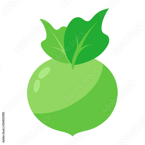 Kohlrabi  vegetable vector perfect for healthy food, farm, eco, and organic-themed digital design projects.
