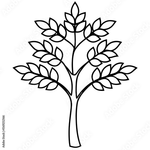 Moringa  vegetable vector perfect for healthy food, farm, eco, and organic-themed digital design projects.