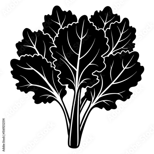 Mustard greens 
  vegetable vector perfect for healthy food, farm, eco, and organic-themed digital design projects.