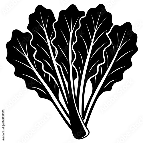 Swiss chard  vegetable vector perfect for healthy food, farm, eco, and organic-themed digital design projects.