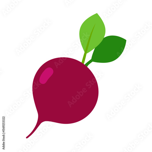 Beetroot vegetable vector perfect for healthy food, farm, eco, and organic-themed digital design projects.