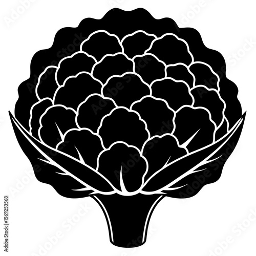 Cauliflower  vegetable vector perfect for healthy food, farm, eco, and organic-themed digital design projects.