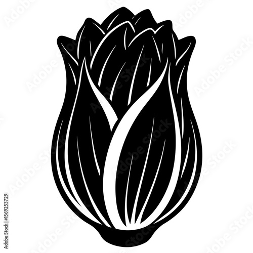 Endive  vegetable vector perfect for healthy food, farm, eco, and organic-themed digital design projects.