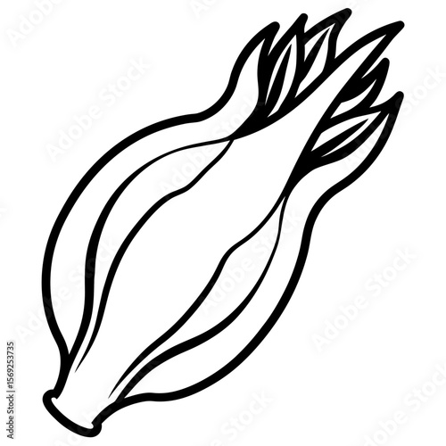 Endive  vegetable vector perfect for healthy food, farm, eco, and organic-themed digital design projects.