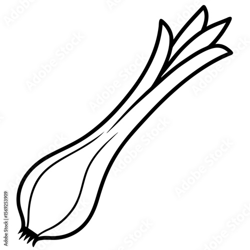 Leek vegetable vector perfect for healthy food, farm, eco, and organic-themed digital design projects.