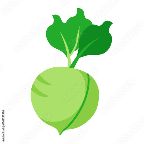 Kohlrabi  vegetable vector perfect for healthy food, farm, eco, and organic-themed digital design projects.