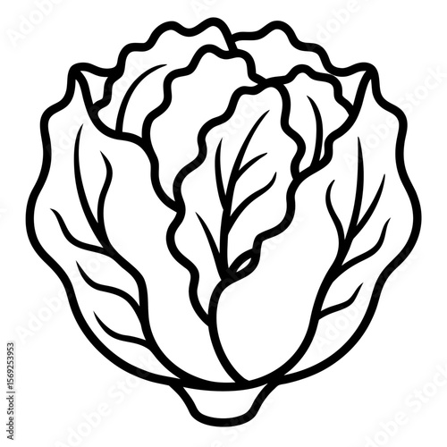 Lettuce vegetable vector perfect for healthy food, farm, eco, and organic-themed digital design projects.