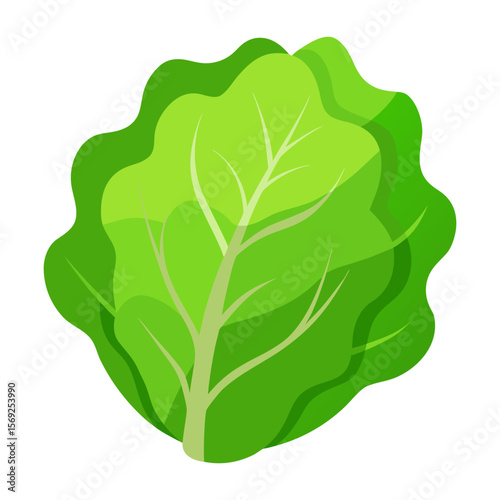 Lettuce vegetable vector perfect for healthy food, farm, eco, and organic-themed digital design projects.