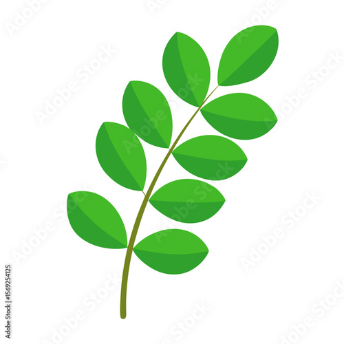 Moringa  vegetable vector perfect for healthy food, farm, eco, and organic-themed digital design projects.