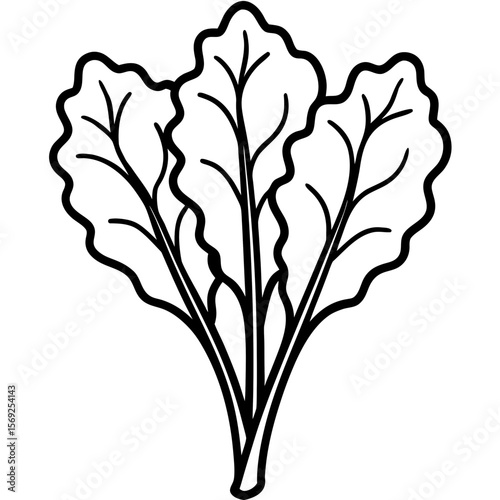Mustard greens  vegetable vector perfect for healthy food, farm, eco, and organic-themed digital design projects.
  