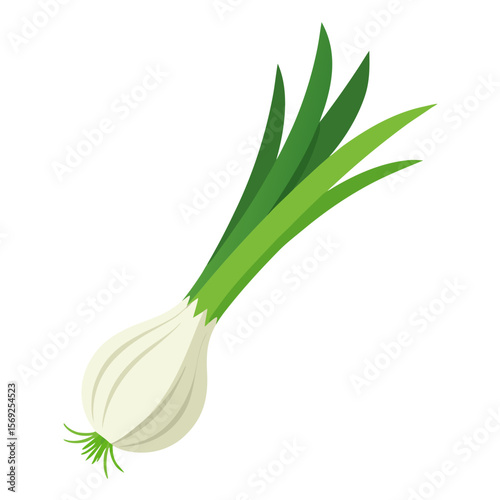 Spring onion  vegetable vector perfect for healthy food, farm, eco, and organic-themed digital design projects.
