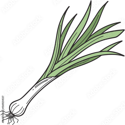 Spring onion  vegetable vector perfect for healthy food, farm, eco, and organic-themed digital design projects.