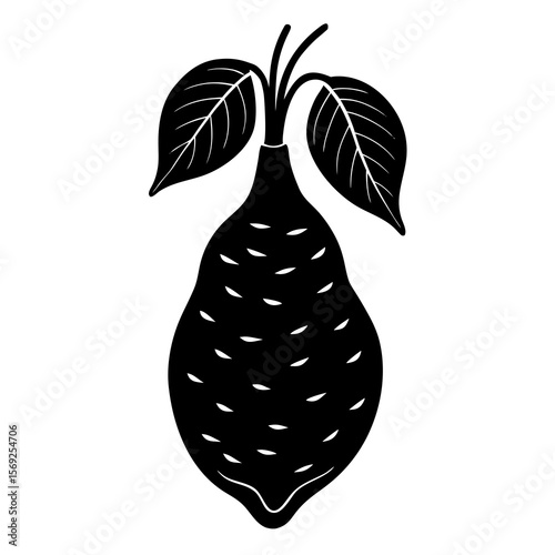 Taro root vegetable vector perfect for healthy food, farm, eco, and organic-themed digital design projects.
 