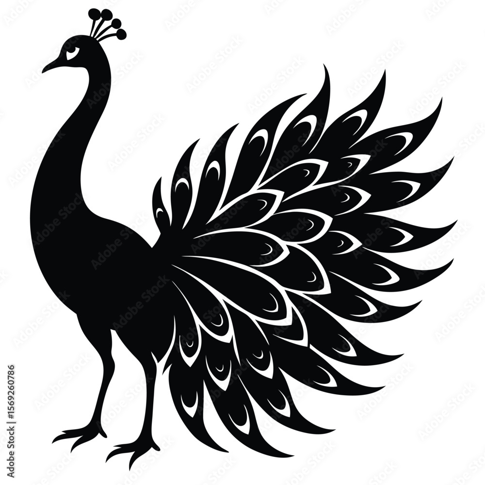 Fototapeta premium Elegant Peacock Silhouette with Open Feathers Vector Illustration for Creative Designs