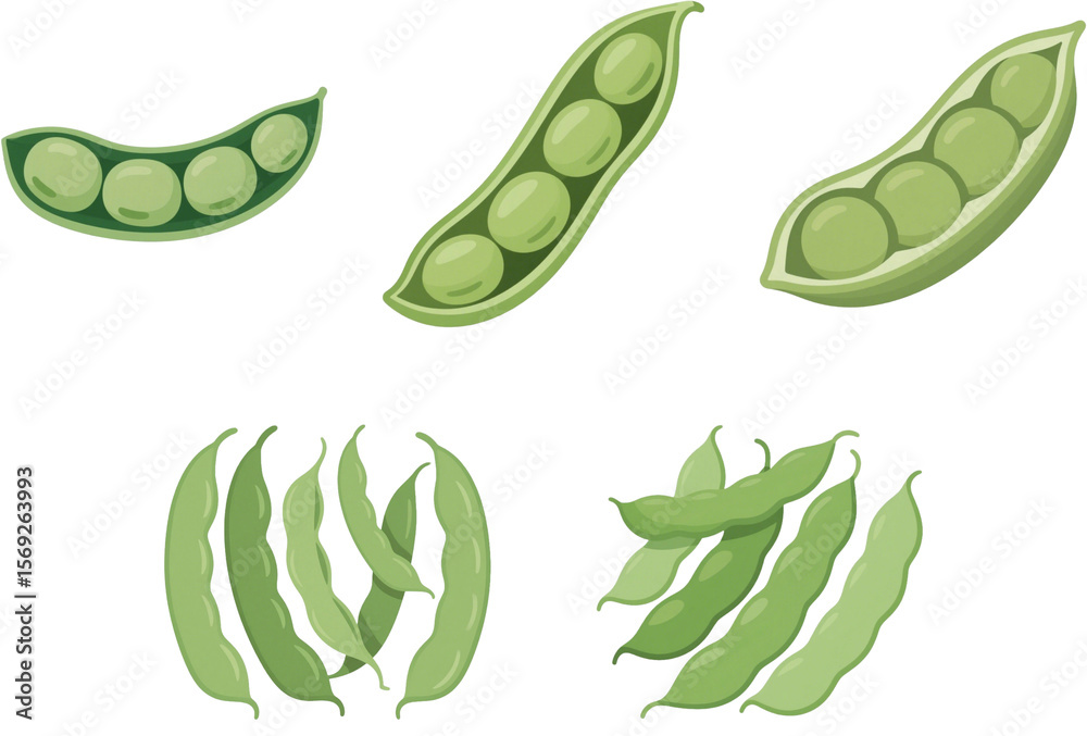 Fototapeta premium 枝豆 野菜 イラスト ベジタブル 素材