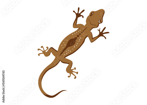 Lizard Vector, Lizard Icon Illustration