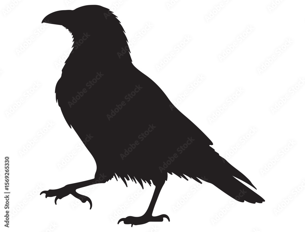 Obraz premium CROW SILHOUETTE