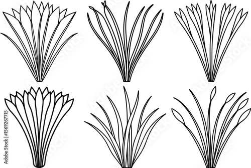 Set of chives herb outline vector illustration black and white
