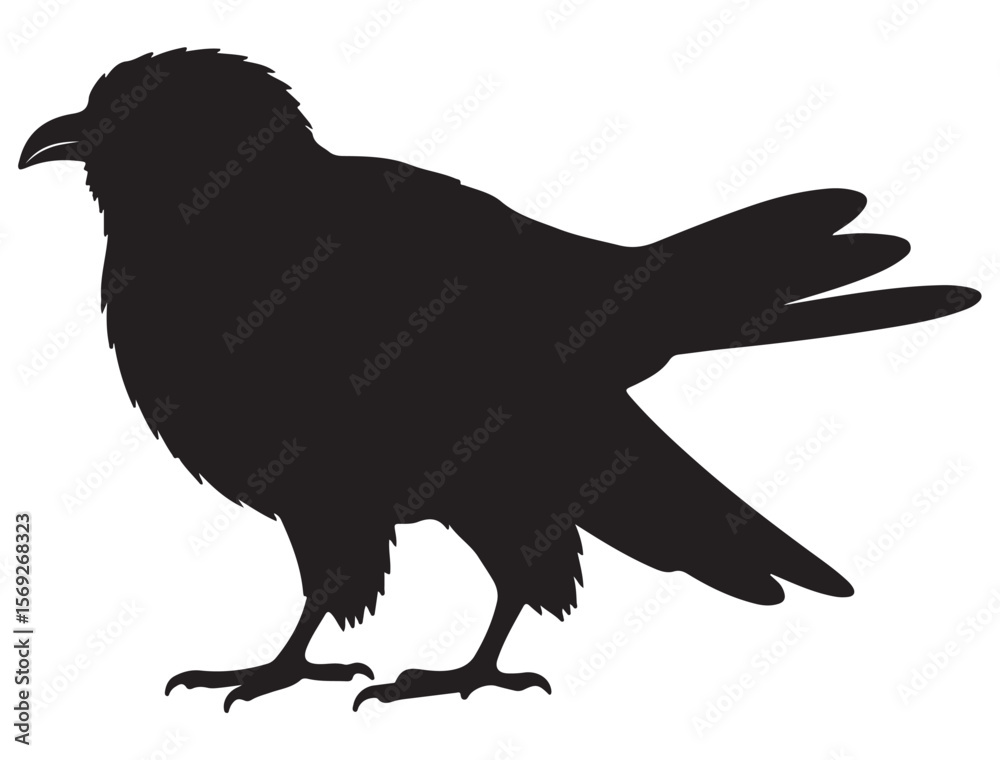 Fototapeta premium CUCKOO BIRD SILHOUETTE