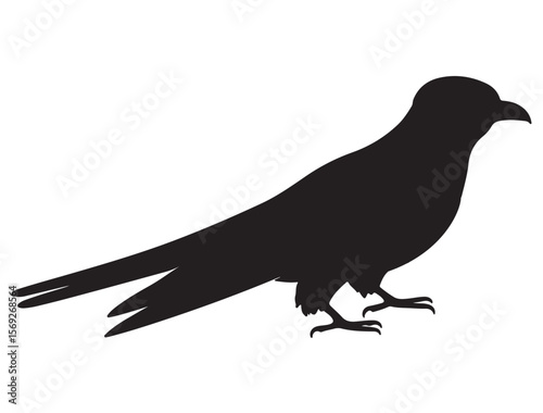 CUCKOO BIRD SILHOUETTE