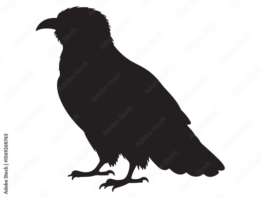 Obraz premium CUCKOO BIRD SILHOUETTE