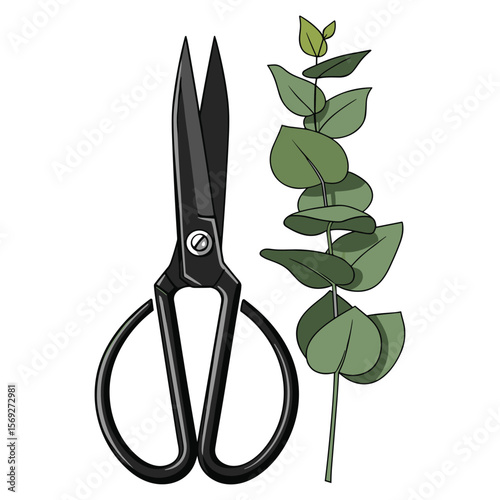 Artistic illustration of floral shears and eucalyptus branch for creative projects and design