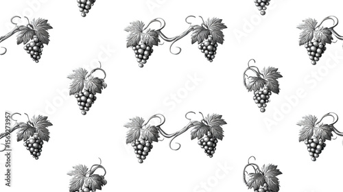 Monochrome grapes pattern isolated on transparent background