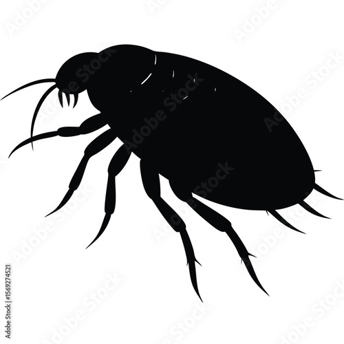 Flea Silhouette Vector Illustration Detailed Side Profile Design for Scientific or Educational Use