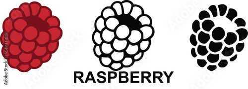 Raspberry fruit vector set with colored, outline, and silhouette styles.
