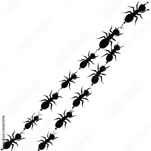 Ant Trail Silhouette Multiple Ants in a Line Insect Vector Design Illustration