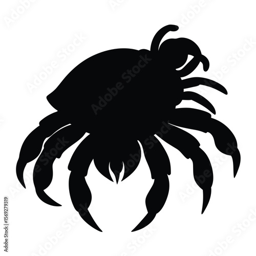 Silhouette of a Hermit Crab Crawling Possibly Used in a Cat Illustration