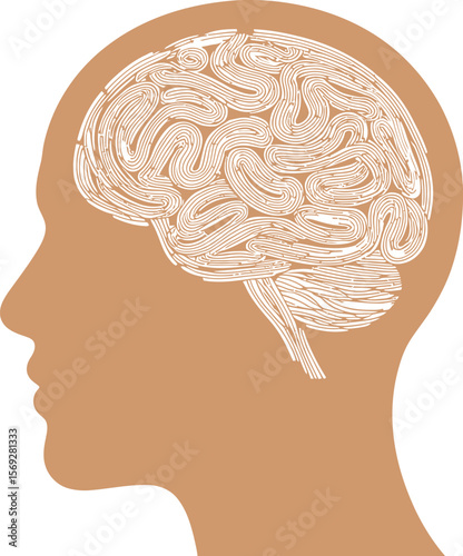 Brain health illustration for mental wellness and cognitive function design