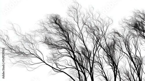 Black and White Digital Art: Abstract Lines of Wind in Trees